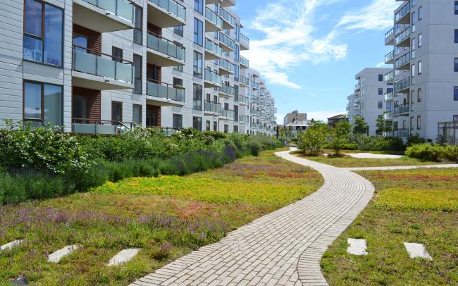 Pathway leading through a vegetated residential courtyard